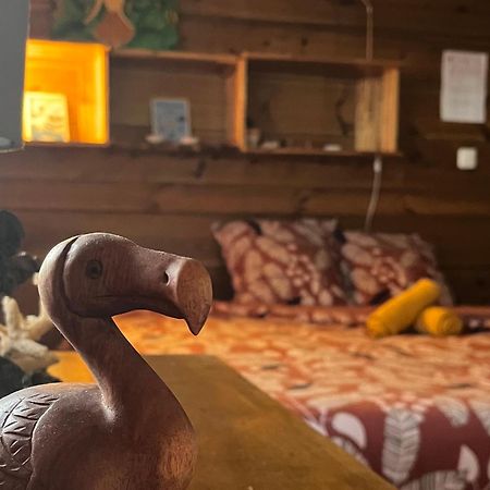 Dodo House Auberge De Jeunesse Сен-Лё Экстерьер фото